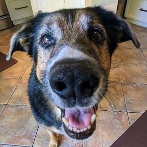 Meet your Posher, E f h